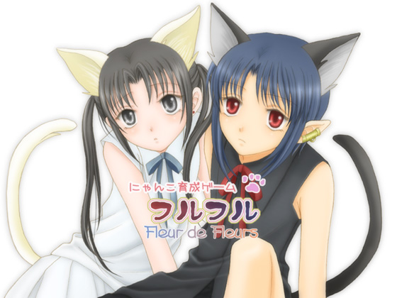 �W���P�b�g�G